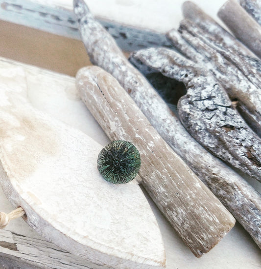 Sea Urchin Ring, Statement Handmade Adjustable Rings, Beach Wedding Gift For Bridesmaids