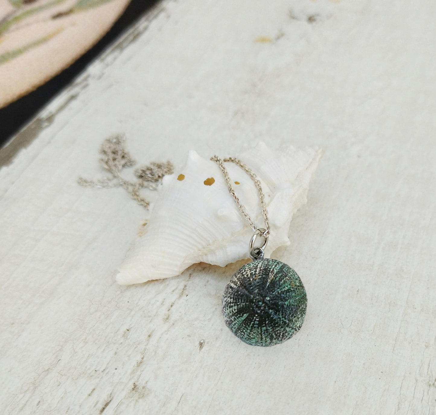 Oxidized Silver Urchin Charm Necklace