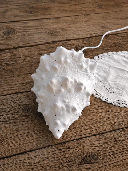 Porcelain Conch Shell Table Lamp, Ocean Theme Nursery Decor, Nautical Beach House Night Light